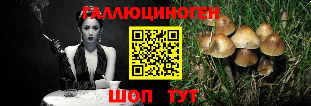 Галлюциногенные грибы мухоморы  Вход с VPN  Новодвинск 